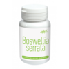 Boswellia serrata 60 vegan capsules